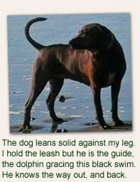 The dog leans...
