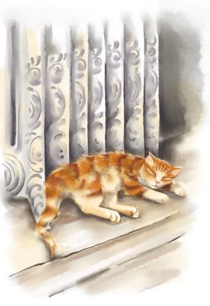 Tabby cat beside radiator
